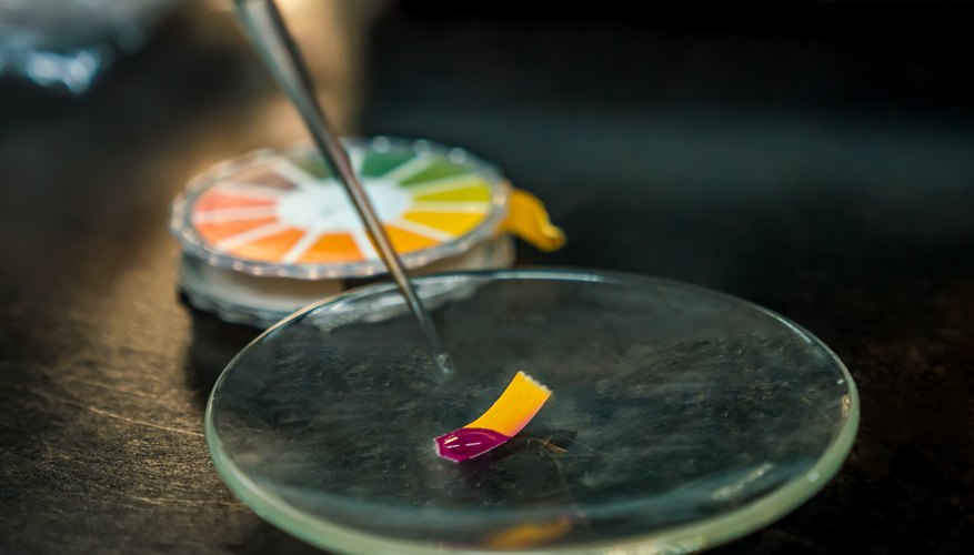 What Substances Turn Red Litmus Paper Blue? | Sciencing