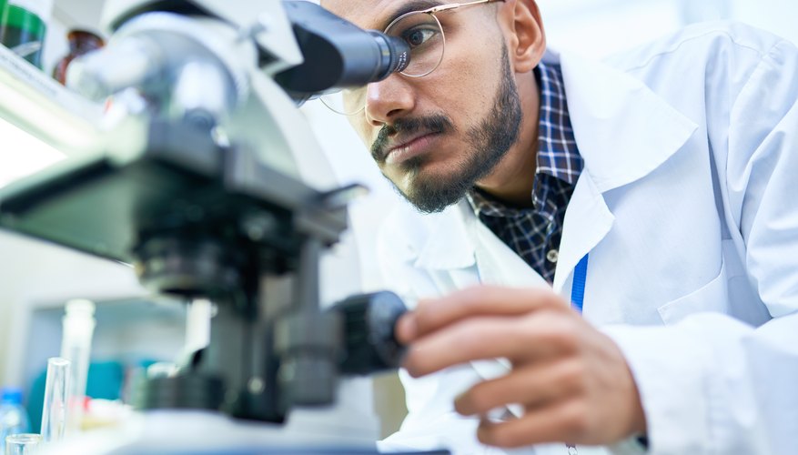 Types of Microorganisms & Optimum PH | Sciencing