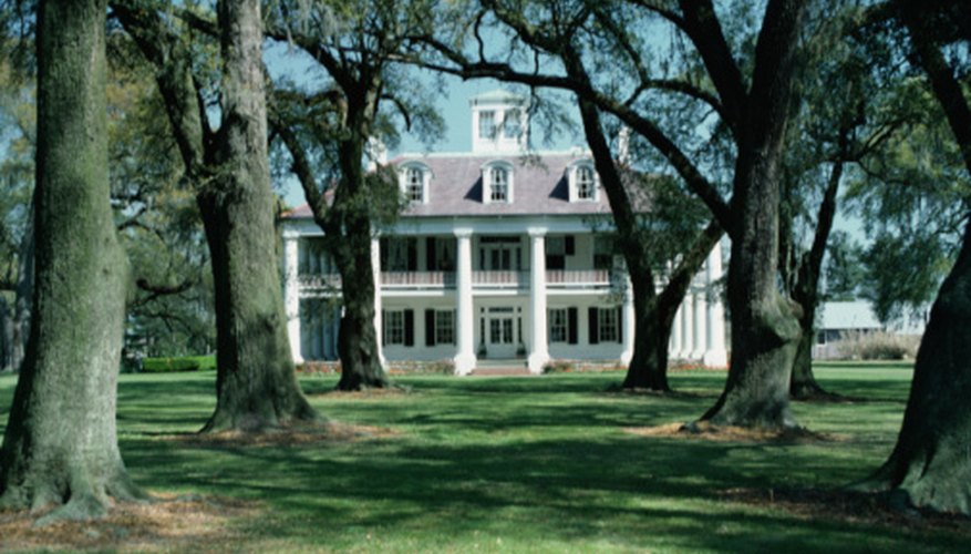 Many Southern colonies grew tobacco and rice for export.