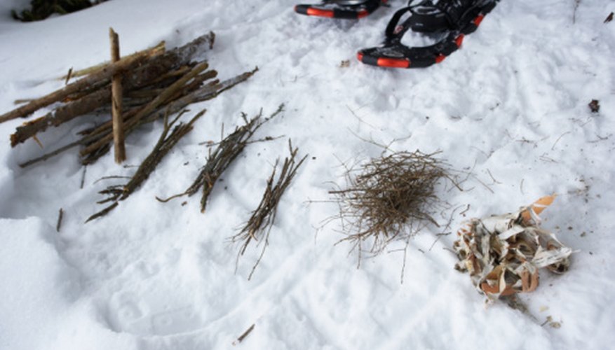 Students can write about survival techniques.