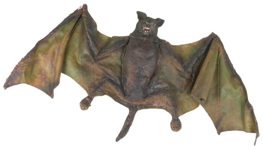 Bat activities teach kids that bats hunt at night using sound.