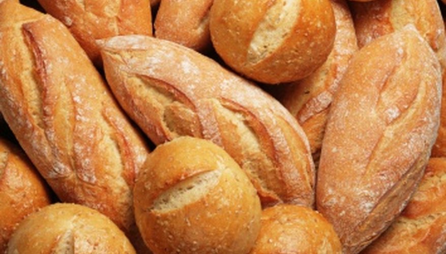 Different Kinds of Bread Mold