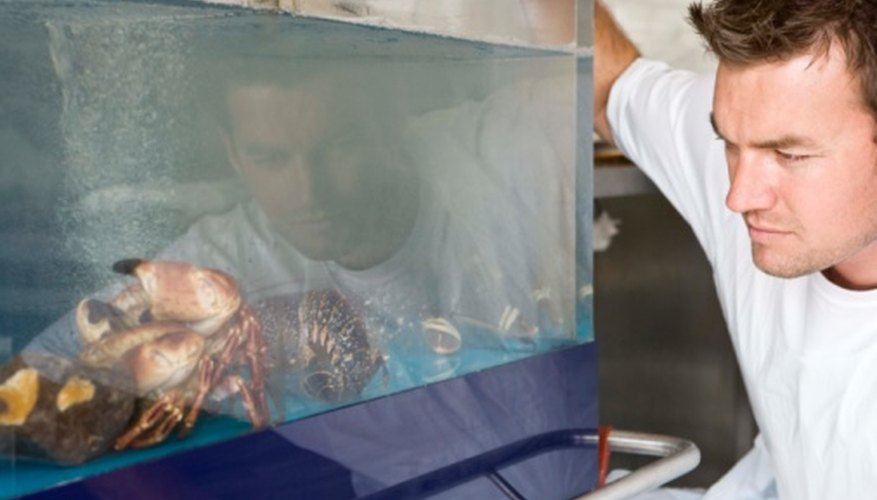 You can build DIY fishtanks out of acrylic.