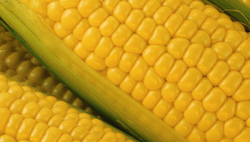 Corn was an important export for colonial New Jersey.