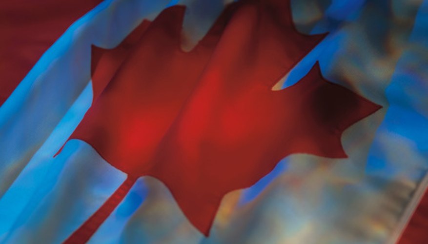 When your Maple Leaf starts to look less than stellar, it may be time to dispose of it.