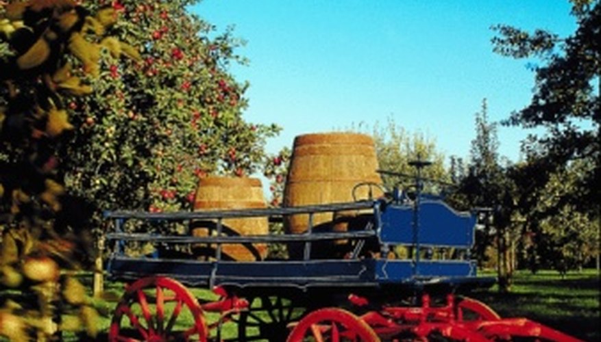Apples were an important crop in colonial New Jersey