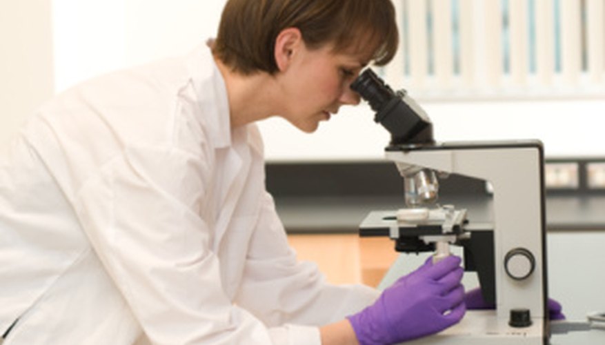 In science, a report must be written in addition to doing the experiment.