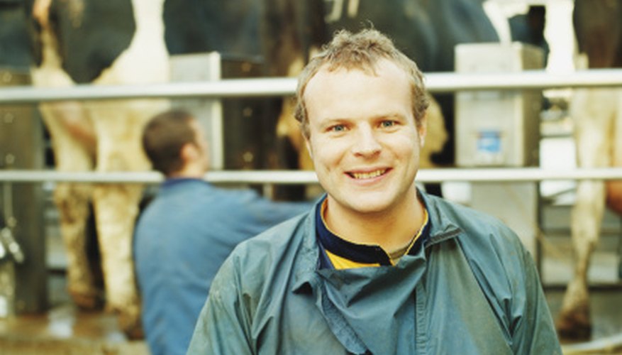 Programs like the Dairy Associates Program give animal science majors hands-on experience.