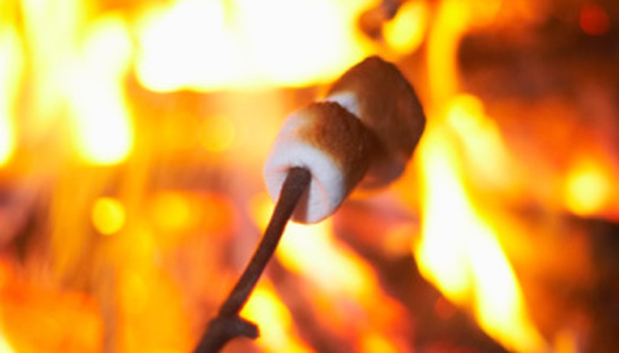 Roast marshmallows and learn about the grieving process at Camp Erin.