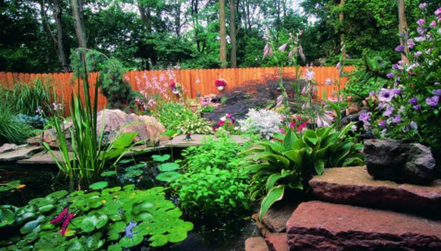 Build a two-level pond in your backyard.