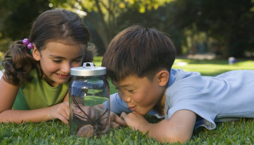 Curiosity in children about scientific elements helps them learn the scientific method.