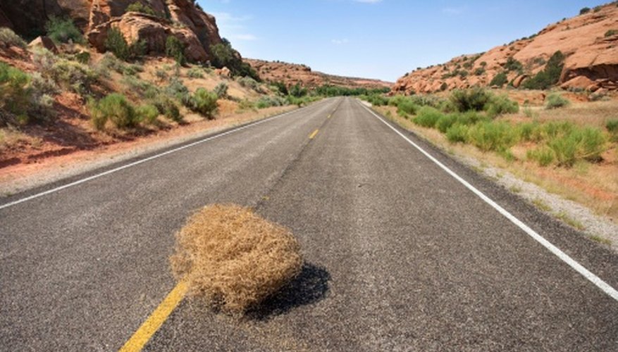 Make a tumbleweed prop from packaging string and glue.