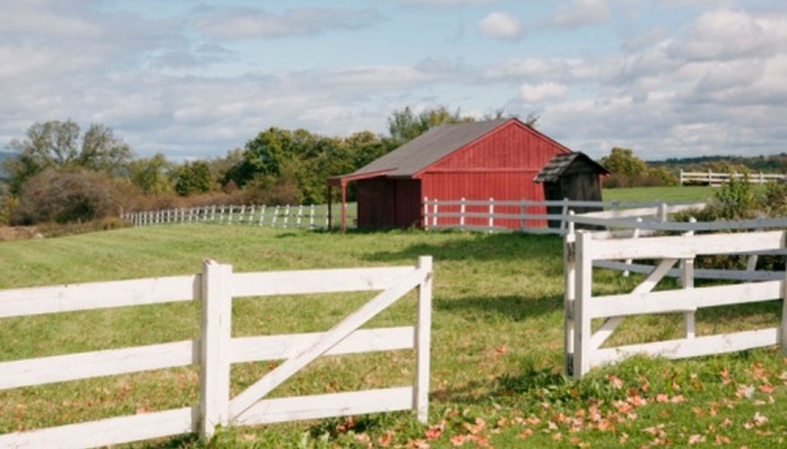 Farms provide numerous items for a scavenger hunt.