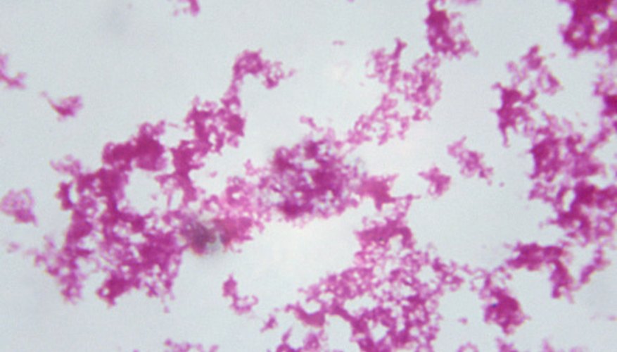 Germs exist everywhere -- on our hands, the objects we touch and the food we eat.