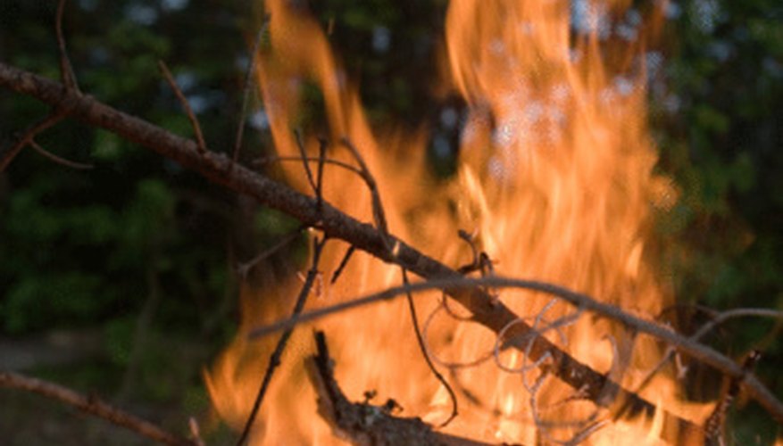 The Effects of Bush Burning on Soil Conditions | Sciencing