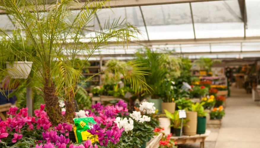 The science that studies plants is called botany.