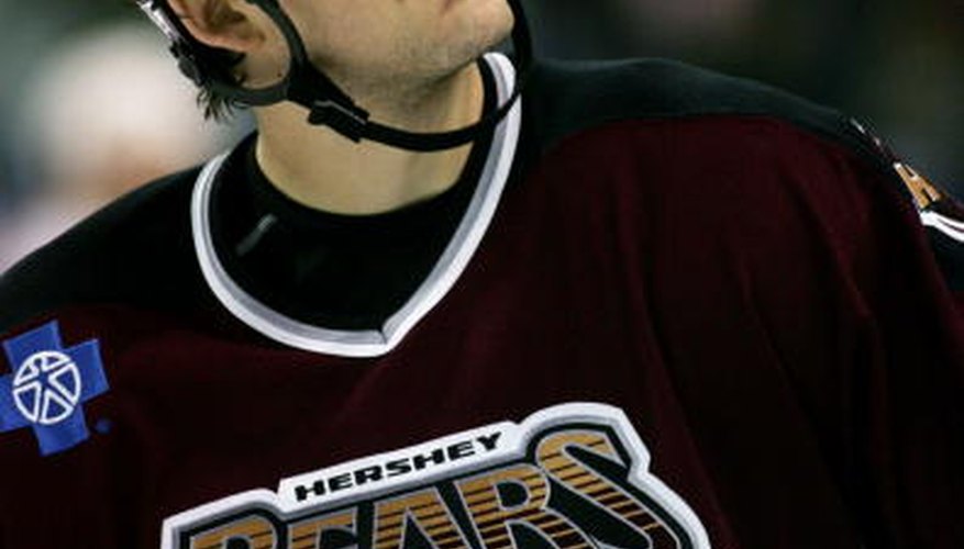 El equipo de hockey de los Hershey Bears es propiedad de la Hershey Entertainment and Resorts Company.