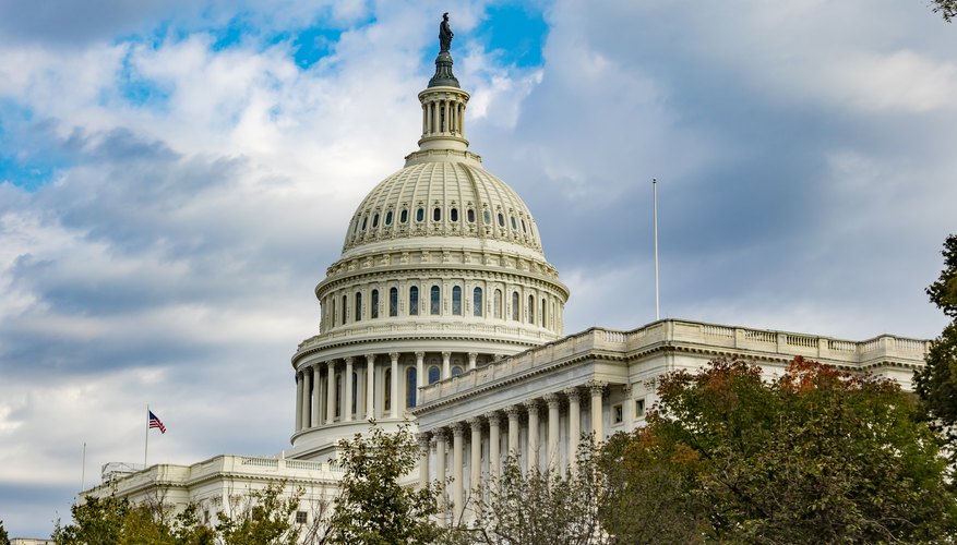 The Three Types of Powers Granted in the Constitution