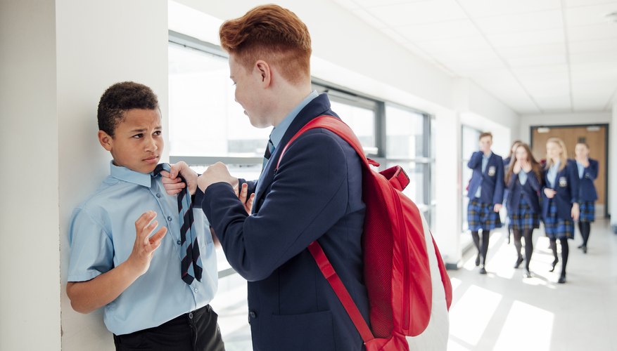 Causes of School Bullying