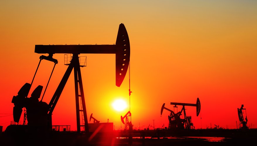 Effect of Human Activities on the Environment | Sciencing