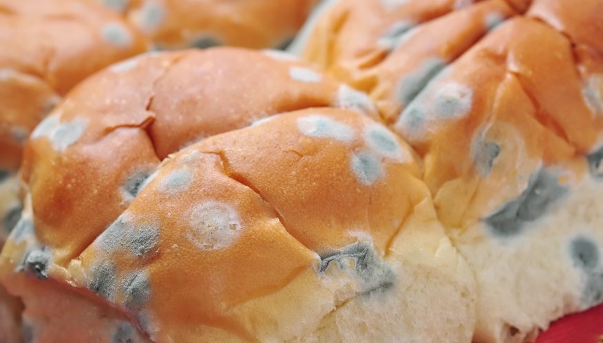 Why Bread Turns Moldy - the Science of Bread Spoilage - FoodCrumbles