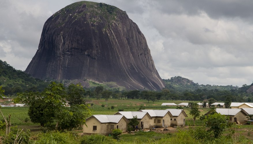 Native Plants & Animals in Nigeria | Sciencing