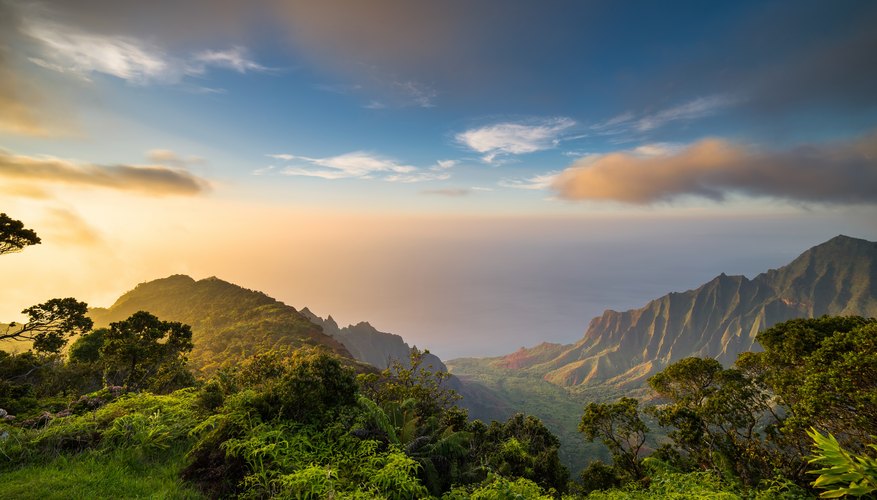 Tropical Rain Forest Biome Landscape Features | Sciencing