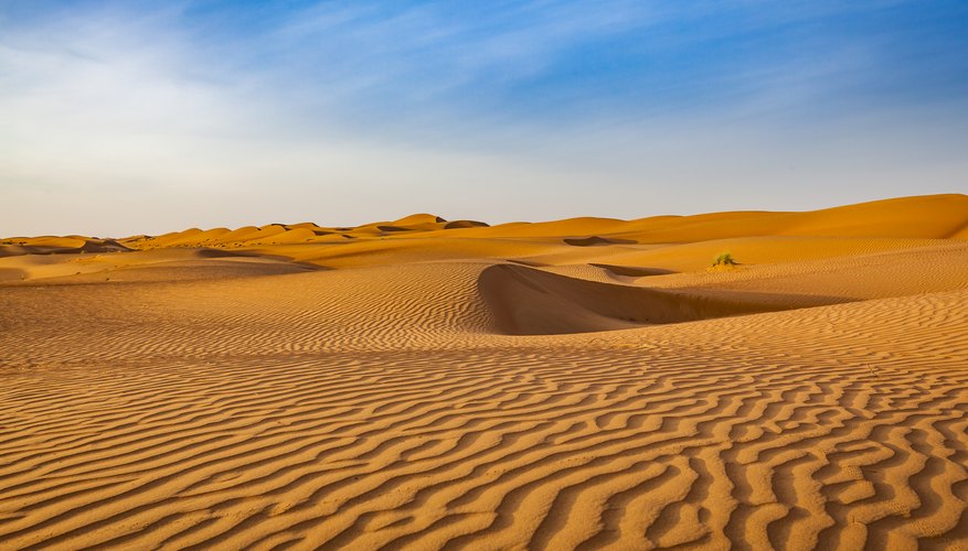 The Effects of Drought on Deserts | Sciencing