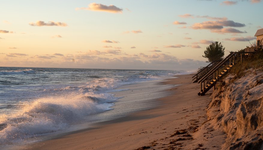 birds-of-the-florida-panhandle-sciencing