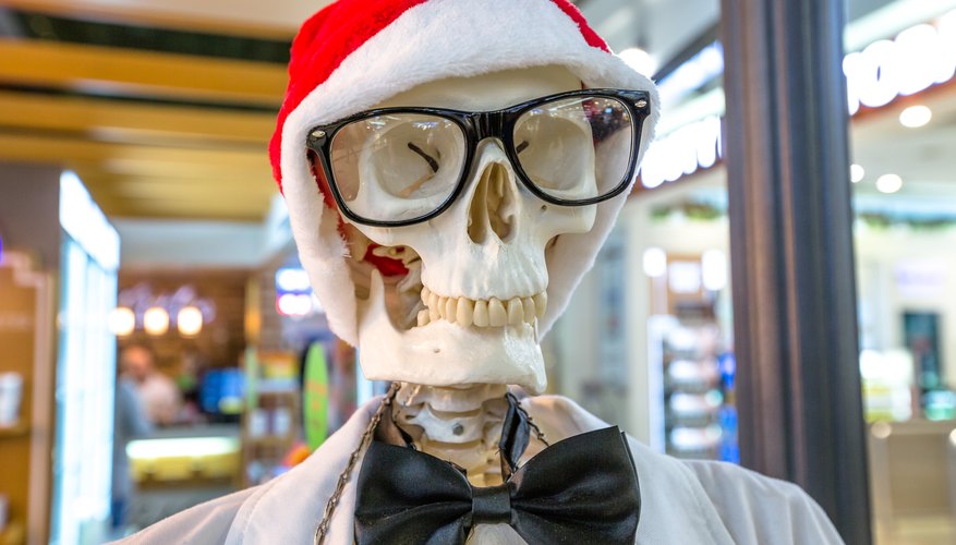 Tricks for Remembering Bones in Anatomy