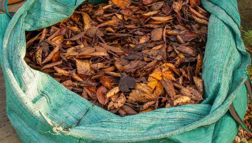 How to Make Compost for Kids