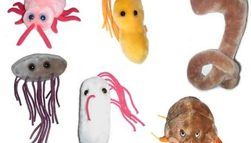 Play and learn with giant microbes