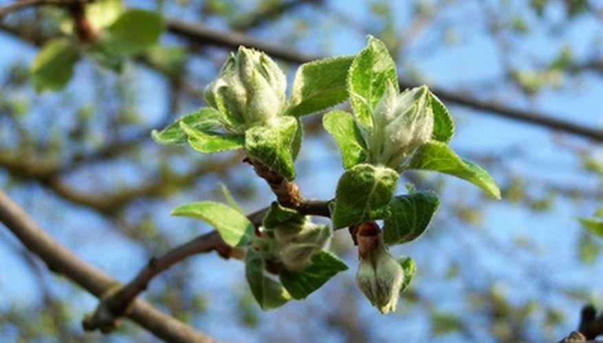 Take a walk outside to find signs of spring.