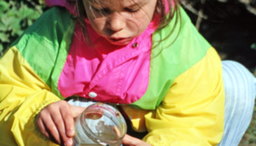 Observing tadpoles changing to frogs is engaging and stimulating for students.