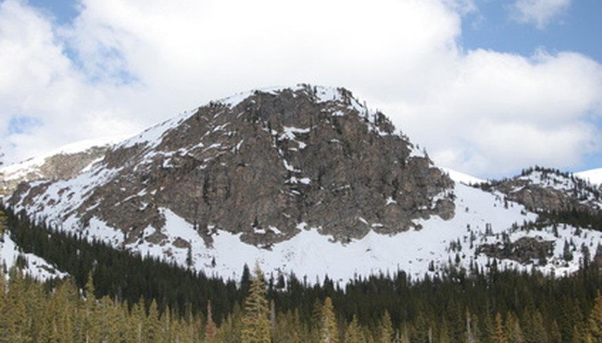 A biome brochure describes a biome such as the Rocky Mountains in North America.