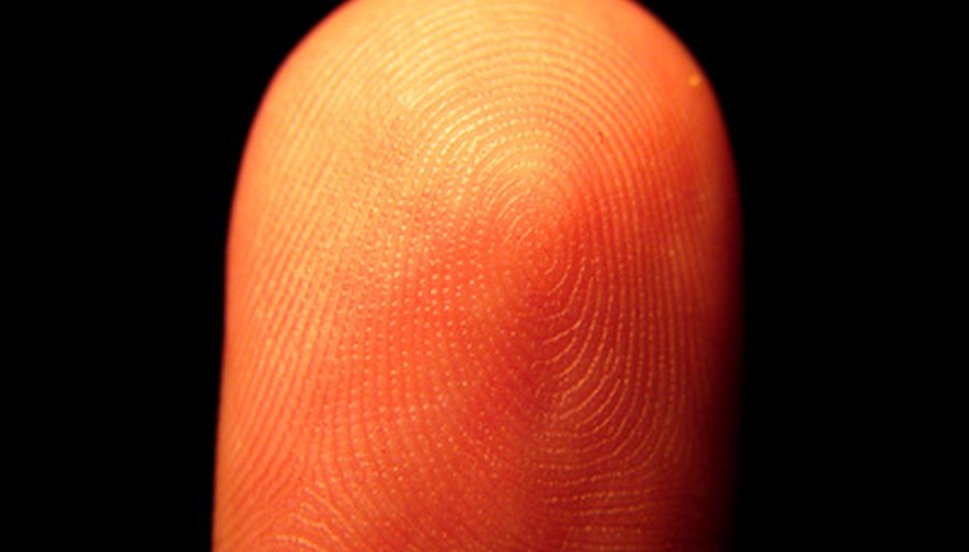 Fingerprint activities are easy.