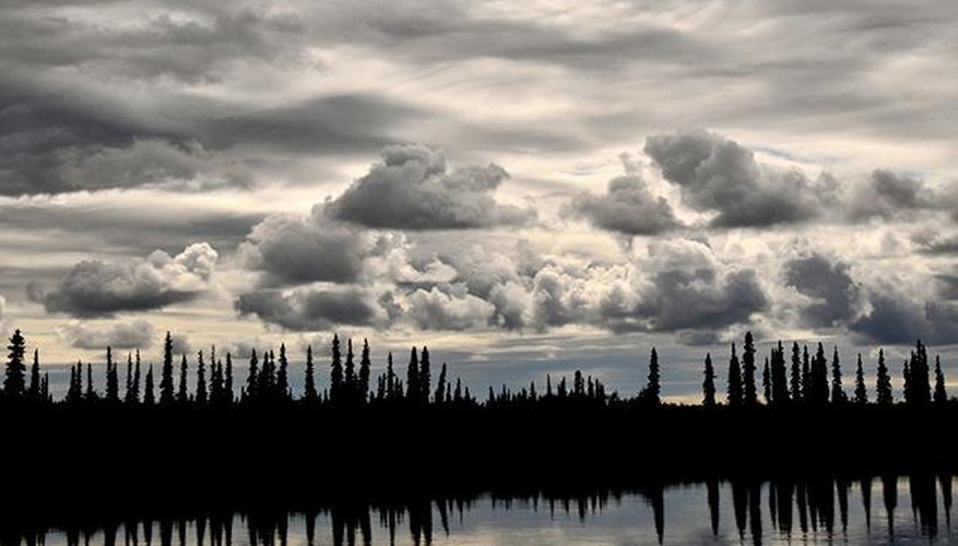 Photo Credit: iStockphoto You may have never heard of Kobuk Valley National Park, but you should put it on your travel bucket list.