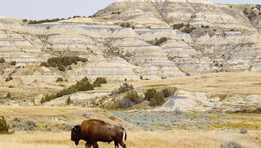 Photo Credit: Getty Images Want wide open spaces? Check out Theodore Roosevelt National Park.