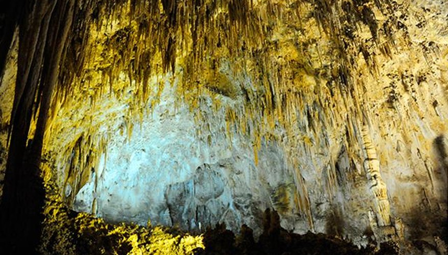 Photo Credit: Getty Images Like a little wildlife with your hiking? Head to New Mexico.