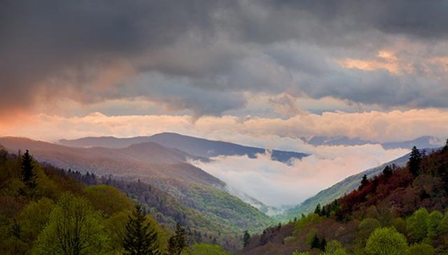 Photo Credit: Getty Images Take time to stop and smell the flowers on your hike through the Great Smoky Mountains National Park.
