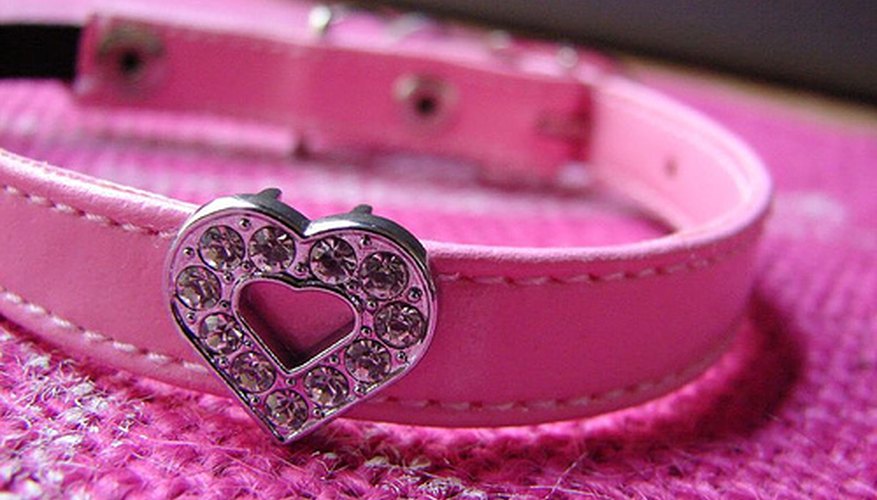 Un collar de gato con brillo.