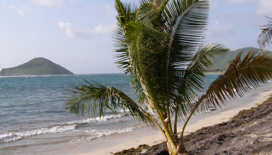 Visita Puerto Rico en tu viaje por las islas del Caribe.
