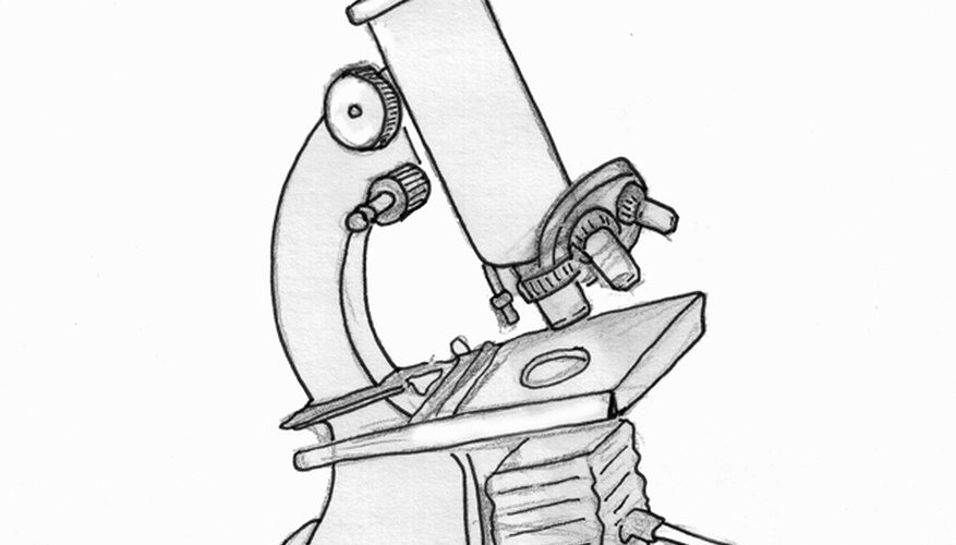 Cómo dibujar un microscopio.