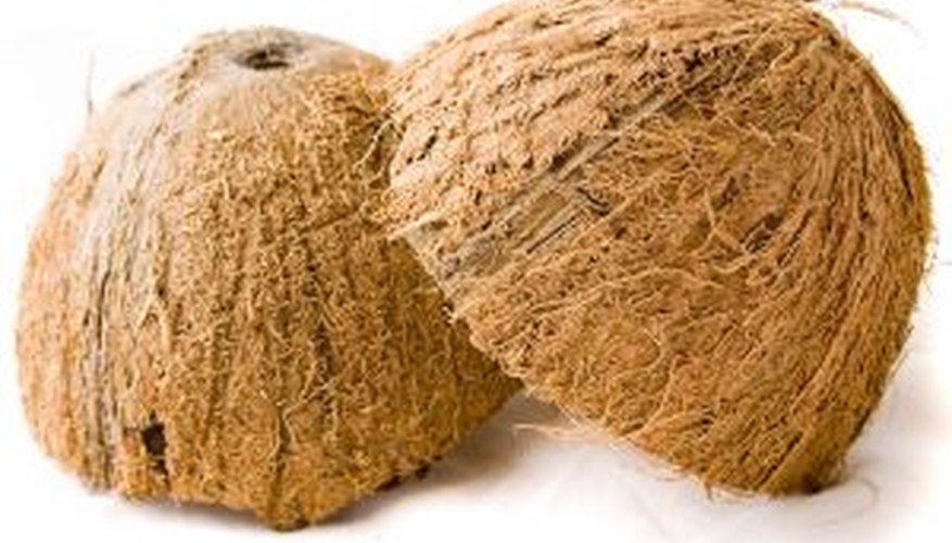 Cocos