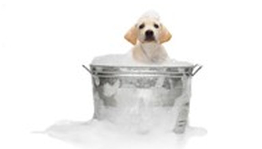 All-natural shampoo is gentle on puppy's skin and fur.