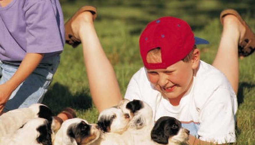 Use puppy's dependent nature to train him.