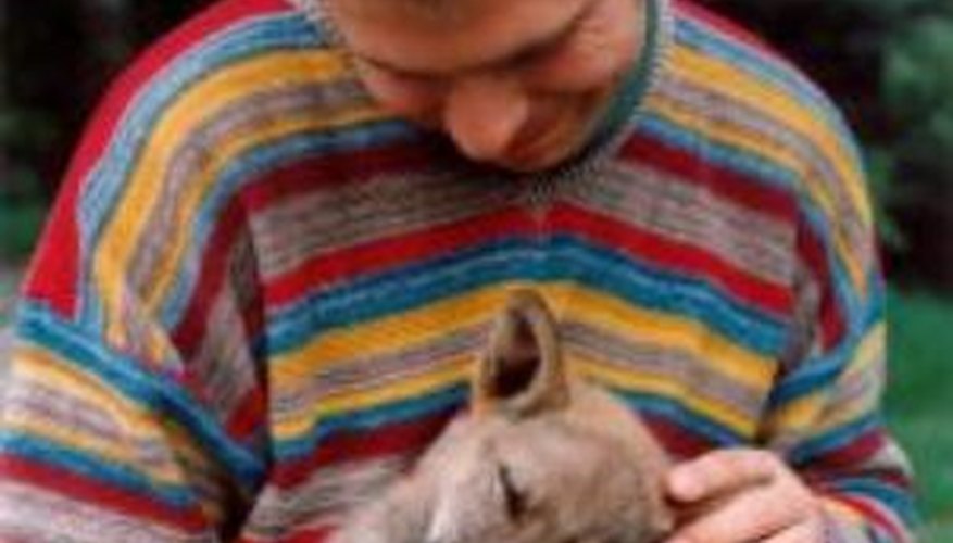Praise your puppy