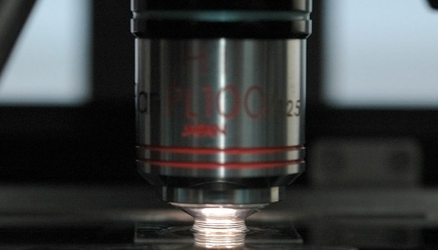 Oil Immersion Microscopy