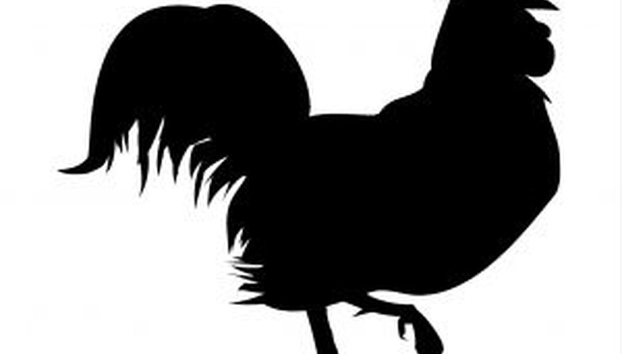 Harás reír a todos con un disfraz de pollo.