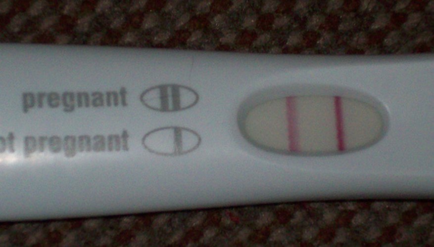What Is an Evaporation  Line  on a Pregnancy  Test  How To 